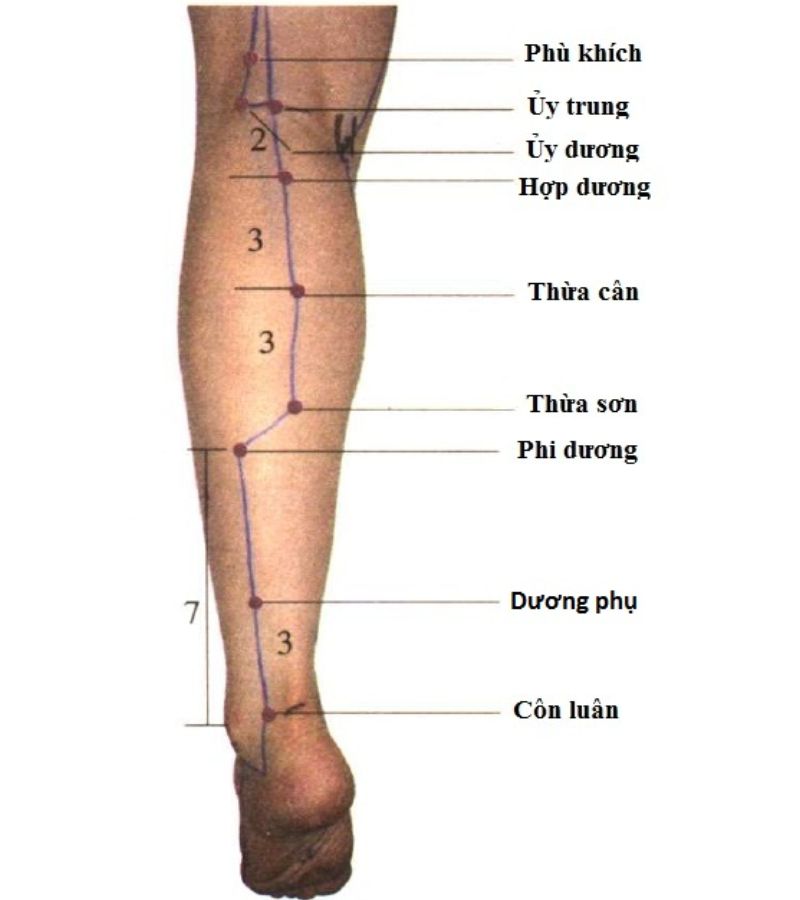 A thị huyệt - tìm hiểu, cách xác Định và lợi Ích sức khỏe