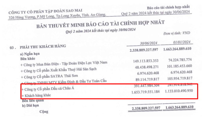 Báo cáo tài chính tập đoàn sao mai: phân tích chi tiết và xu hướng mới nhất