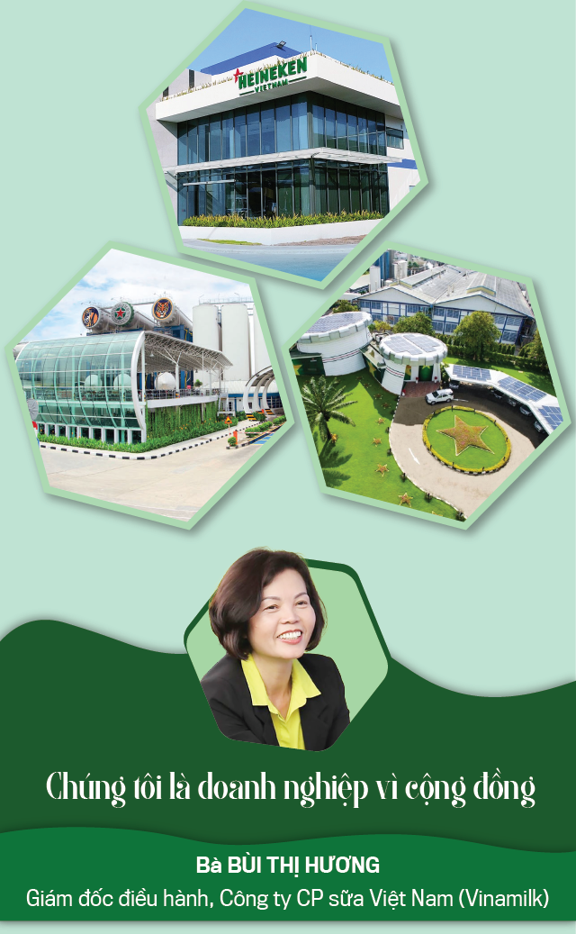 Các doanh nghiệp xanh tiên phong tại việt nam - Đóng góp vào phát triển bền vững