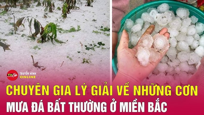 Nguyên nhân mưa xuất hiện, giải thích chi tiết về quá trình hình thành mưa
