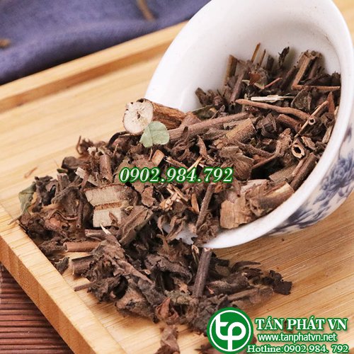 Nhân trần khô, mua Ở Đâu, giá cả và công dụng chi tiết